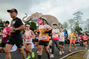 BIB: 
                            <button type="button" onclick="openModal(26528326)" class="btn btn-primary btn-sm float-right btn-popup" data-toggle="modal" data-target=".modal-high-quality">
                        <i class="fas fa-shopping-cart"></i> Add to Cart
                    </button>
                                            <button type="button" onclick="isThisMe(26528326, true)" class="btn btn-success btn-sm float-right btn-popup btn-isme hidden" data-toggle="tooltip" data-placement="bottom" title="นี่คือรูปของคุณใช่ไหม คลิกที่นี่เพื่อเอาเข้าอัลบั้ม">
                        <i class="fas fa-plus"></i> Add to album
                    </button>
                    <button type="button" onclick="isThisMe(26528326, false)" class="btn btn-warning btn-sm float-right btn-popup btn-isnotme hidden">
                        <i class="fas fa-ban"></i> Remove from album
                    </button>